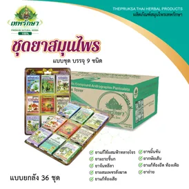 ชุดยาสามัญประจำบ้าน แผง 9 ตำรับ - Image 7