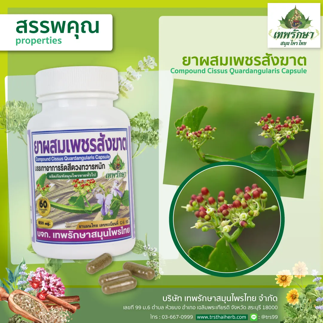 ยาผสมเพชรสังฆาต - Image 2