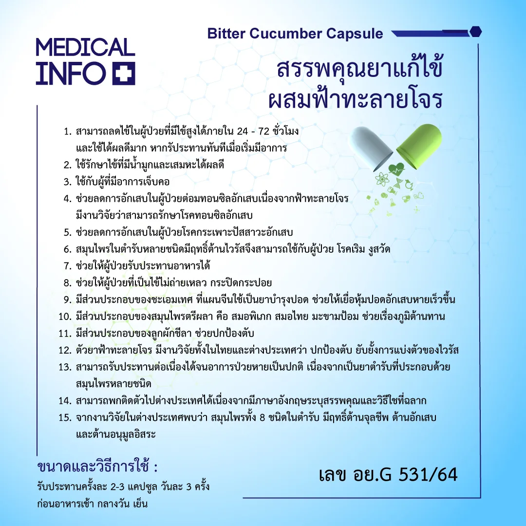 ยาแก้ไข้ผสมฟ้าทะลายโจร - Image 3