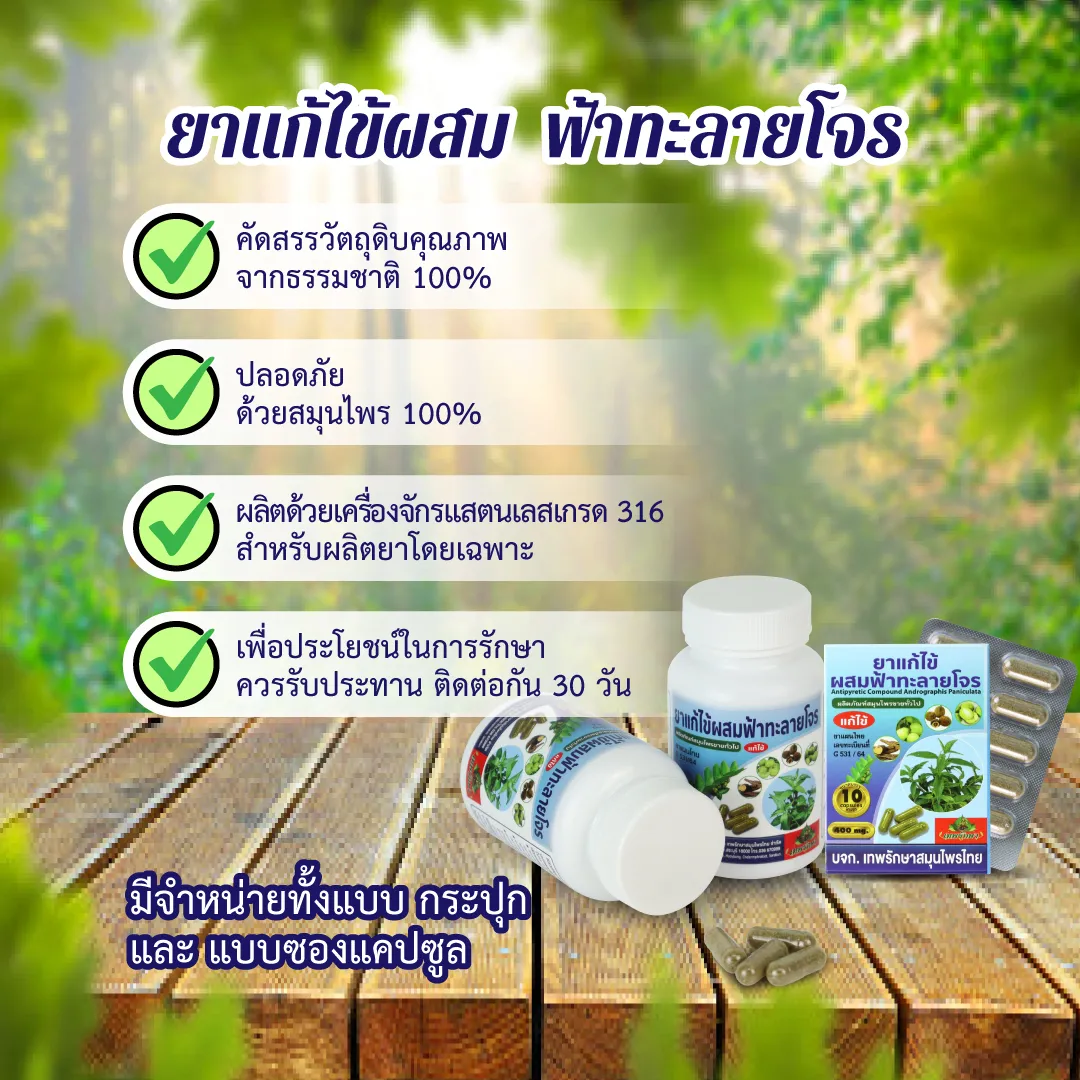 ยาแก้ไข้ผสมฟ้าทะลายโจร - Image 5
