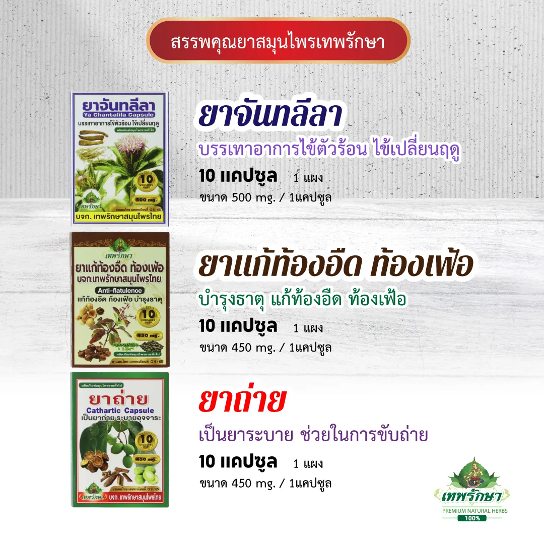 ชุดยาสามัญประจำบ้าน แผง 9 ตำรับ - Image 10