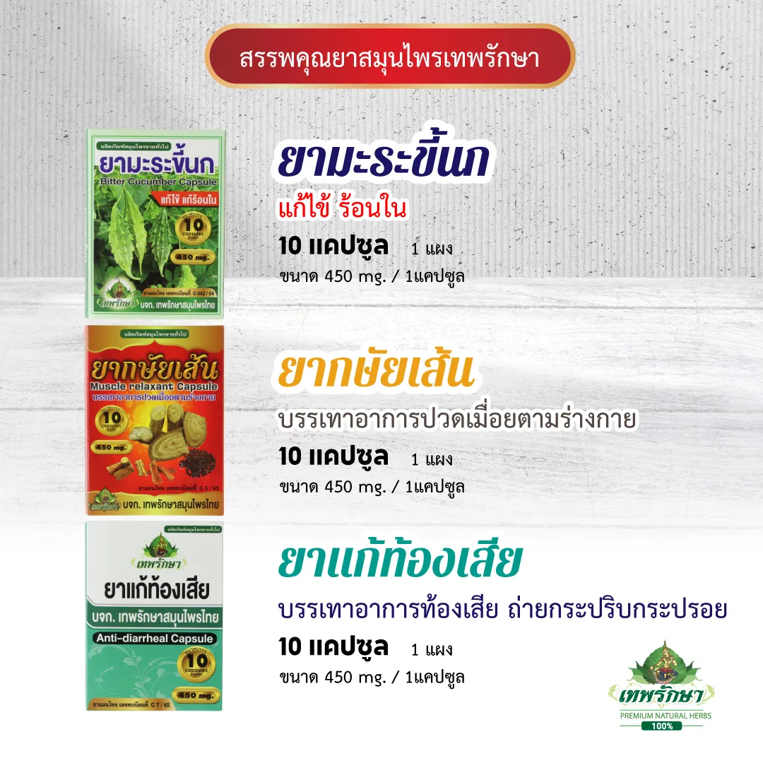 ชุดยาสามัญประจำบ้าน แผง 9 ตำรับ - Image 6