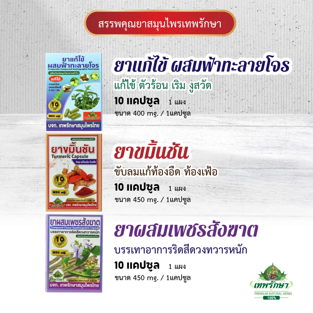 ชุดยาสามัญประจำบ้าน แผง 9 ตำรับ - Image 4