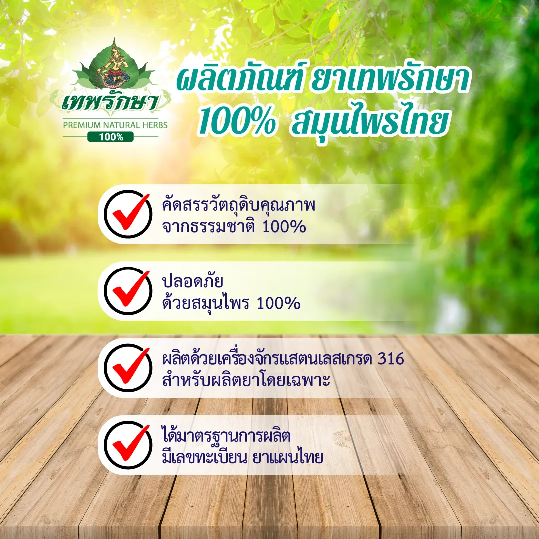 ชุดยาสามัญประจำบ้าน แผง 9 ตำรับ - Image 5